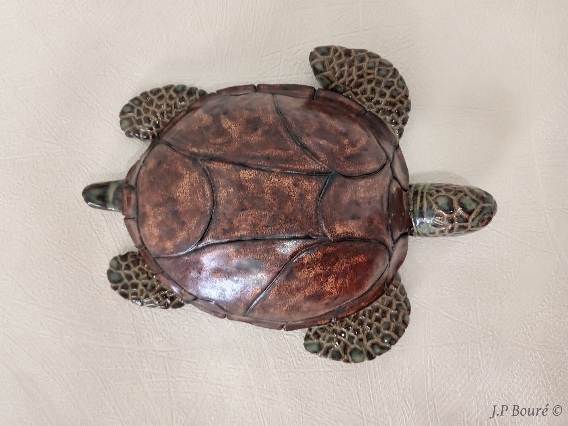 Image de couverture (Tortue 4)