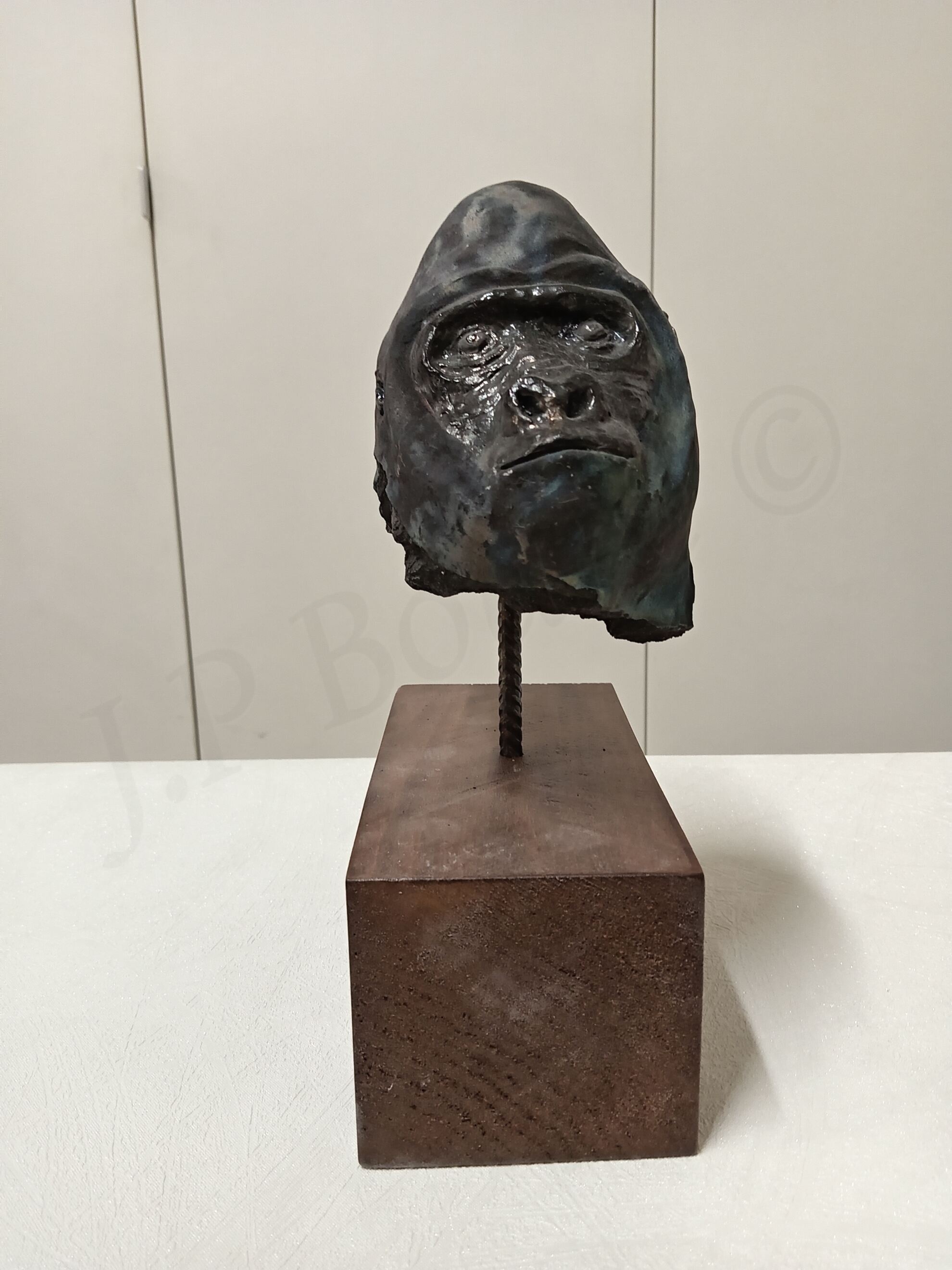 Image de couverture (Tête de gorille)