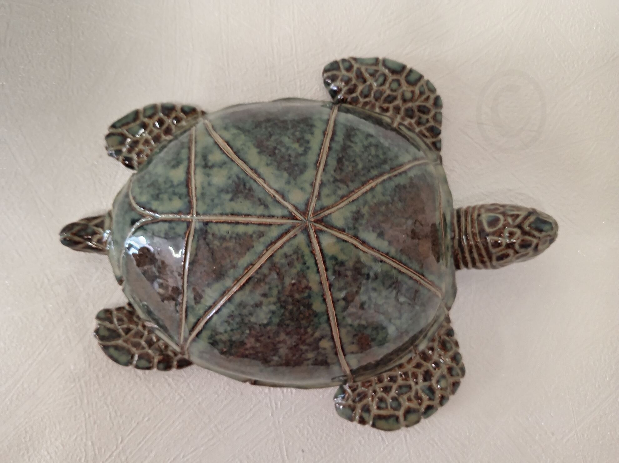 Image de couverture (Tortue 2)