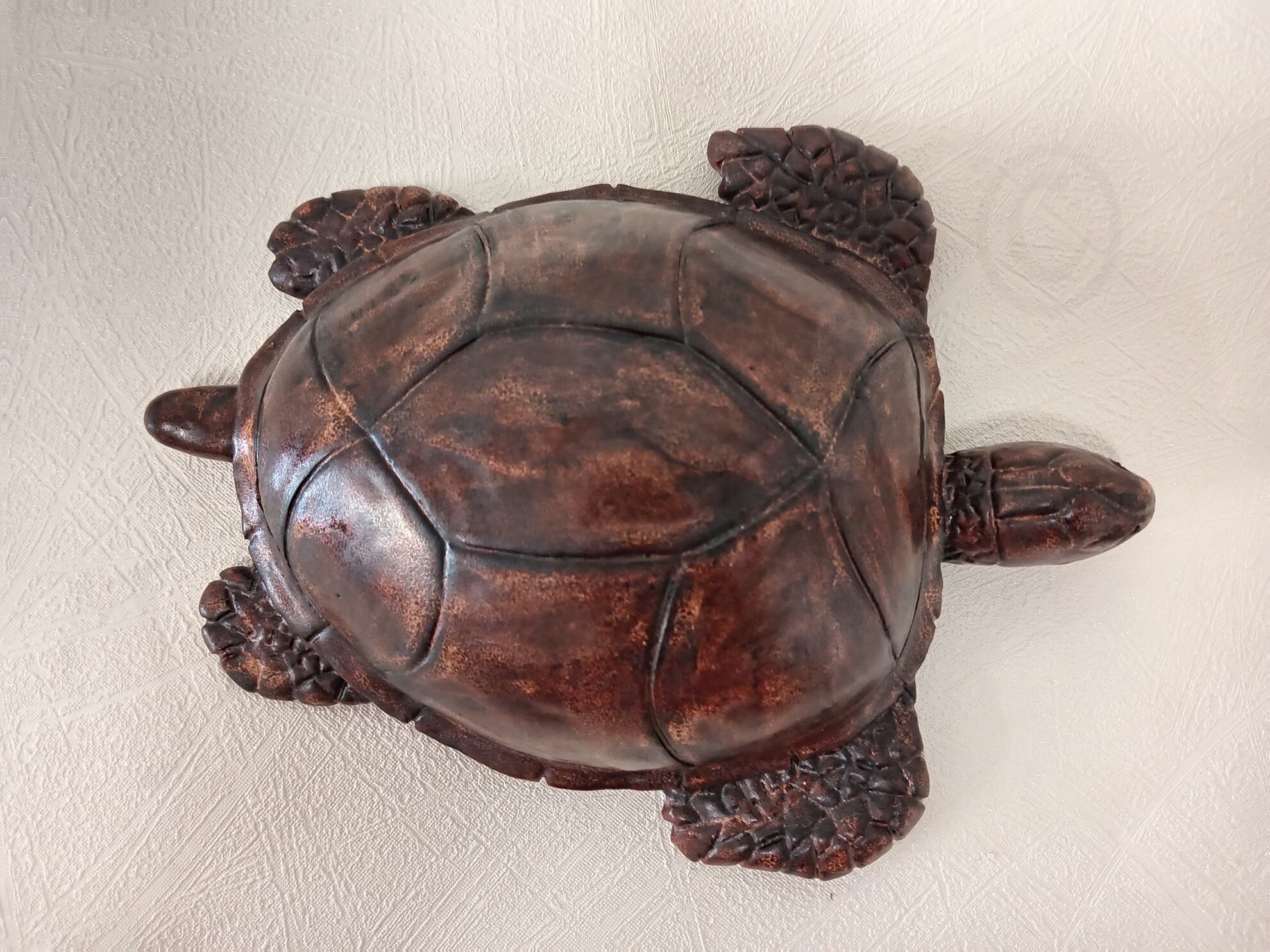 Image de couverture (Tortue 3)